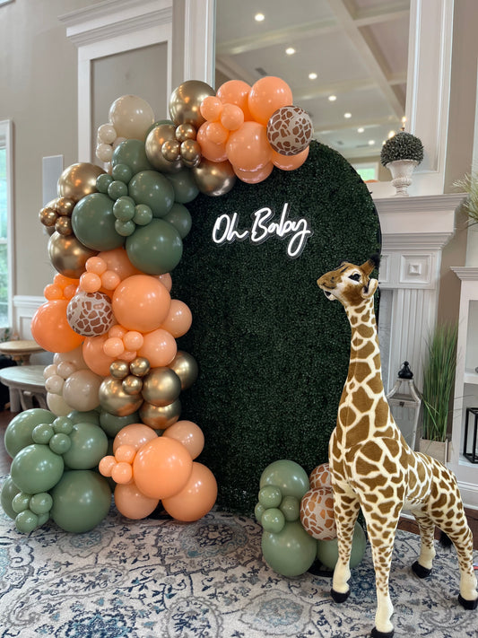 Baby Shower Balloon Arch Package