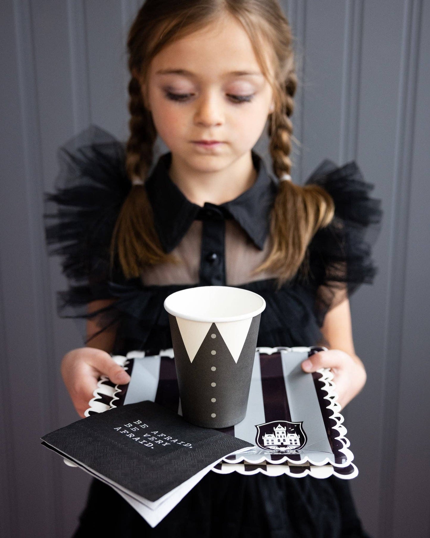 WED1039 -  Party More Tonal Black Stripe Paper Plate