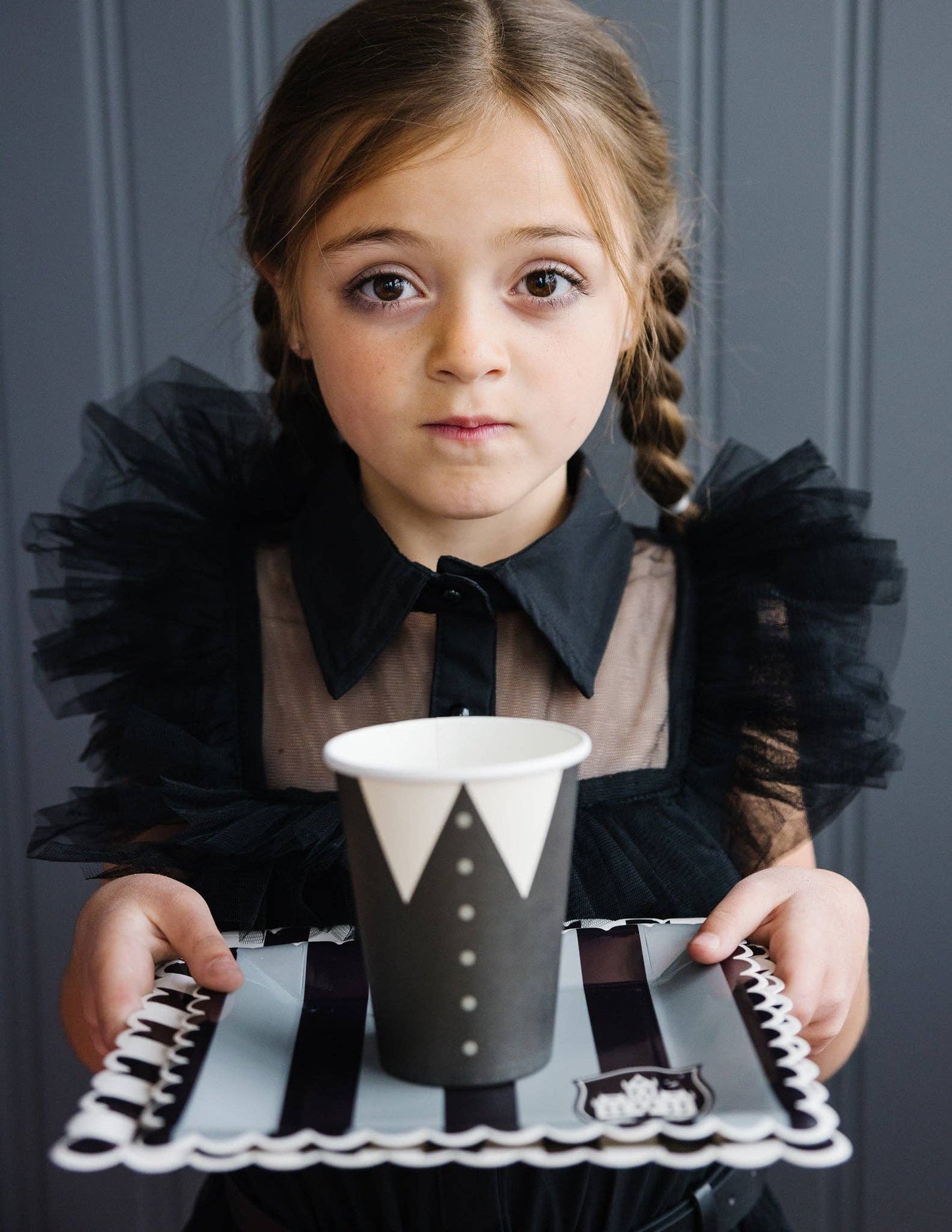 WED1039 -  Party More Tonal Black Stripe Paper Plate