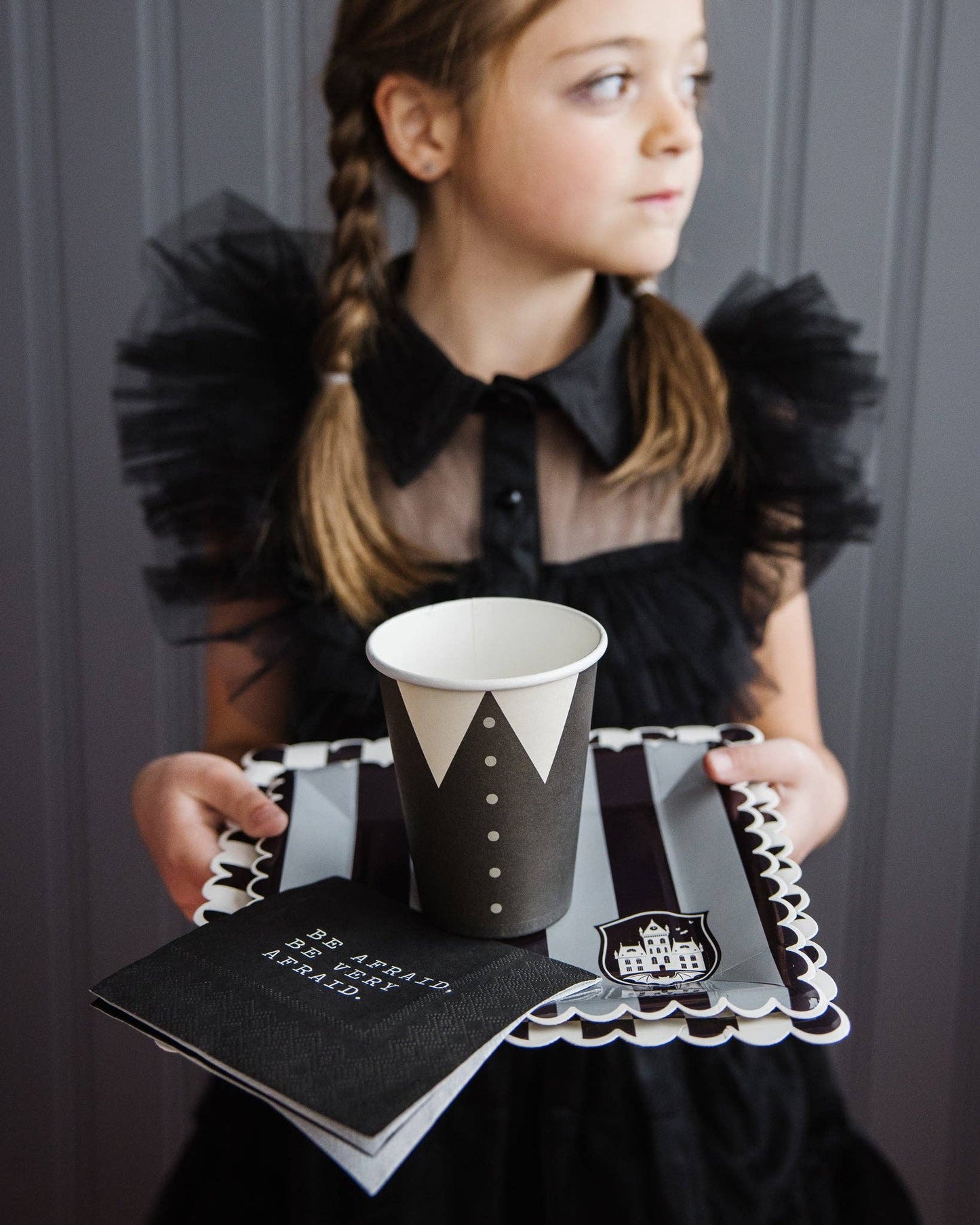 WED1039 -  Party More Tonal Black Stripe Paper Plate