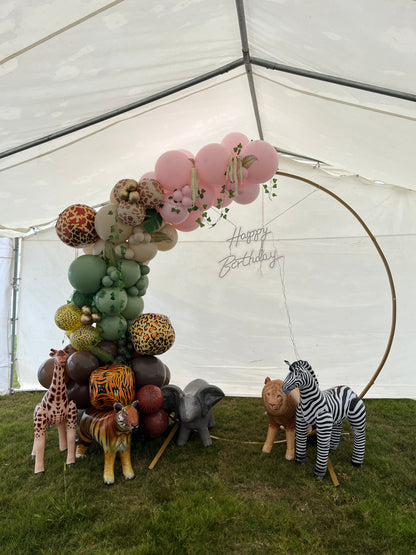 Balloon Designs on Arches