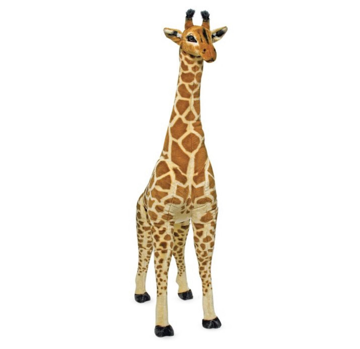 Giraffe Rental